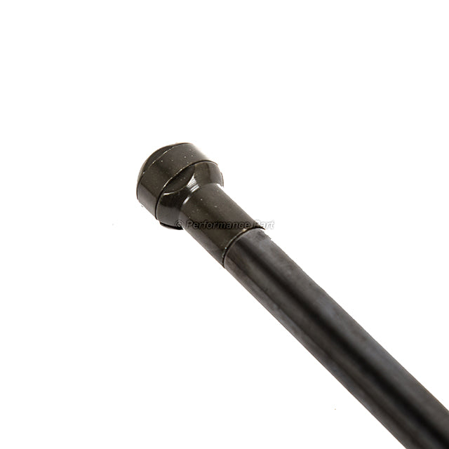 1 Pair Liftgate Lift Support for Town & Country & Voyager