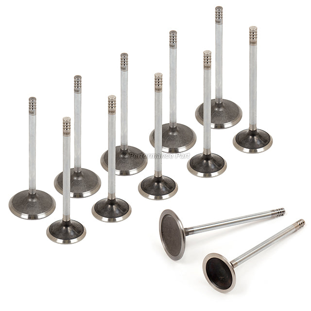 Head Gasket Set Intake Exhaust Valves for 01-04 Ford E150 E250 F150 4.2 OHV