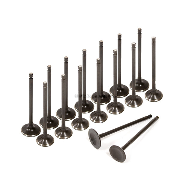 Head Gasket Set Intake Exhaust Valves for 01-05 Dodge Chrysler 2.4L 4G64