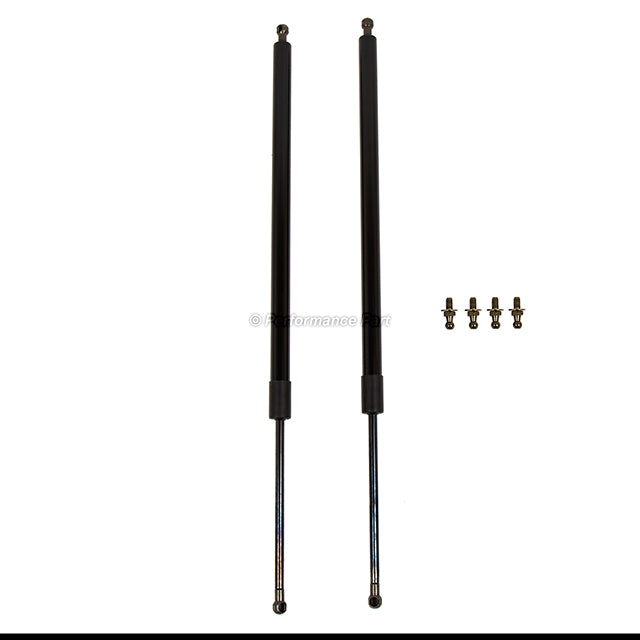 1 Pair Liftgate Lift Support for Dodge Grand