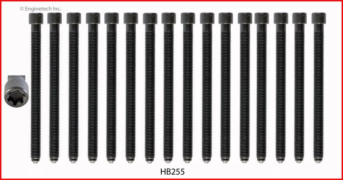 Enginetech HB255 Engine Head Bolt Set for One Cylinder – Compatible with Audi and Volkswagen Models