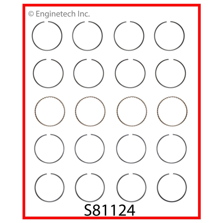 S81124-STD