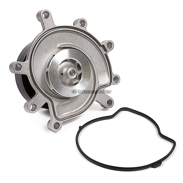 Timing Chain Kit Water Pump for 01-03 Dodge Ram 1500 Jeep 3.7 226CID VIN K